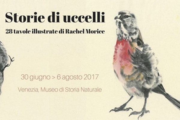 Poster of the exhibition “Storie Di Uccelli 28 Tavole illustrate di Rachel Morice”