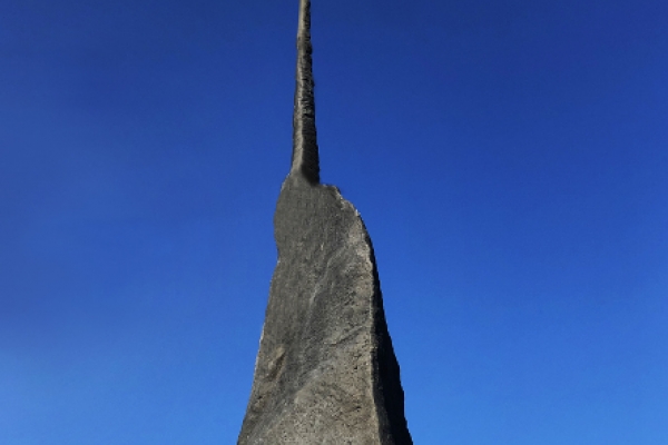 BIZHAN BASSIRI. Meteorite Narvalo