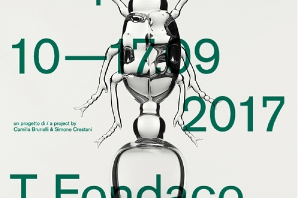 Poster of the vernissage of the glass works collection "Metamorphosis"