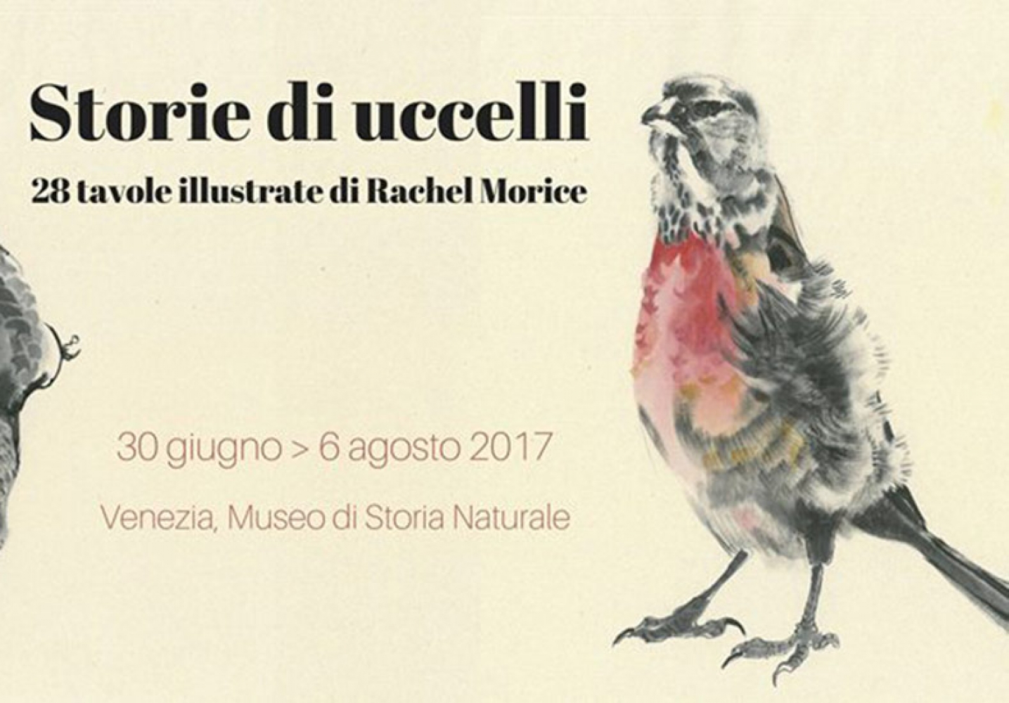 Poster of the exhibition “Storie Di Uccelli 28 Tavole illustrate di Rachel Morice”